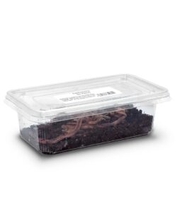 Alternative view of Earthworms