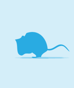 Vivari Frozen_Frozen Mice