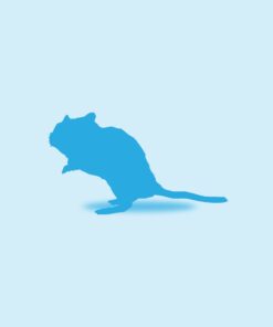 Vivari Frozen_Hamster Individual