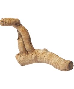 Alternative view of HabiStat Bamboo Root