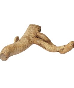 HabiStat Bamboo Root