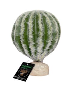 Alternative view of HabiStat Cacti