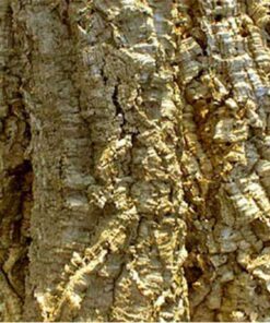 HabiStat Cork Bark 5kg Bag