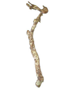 HabiStat Cork Branch