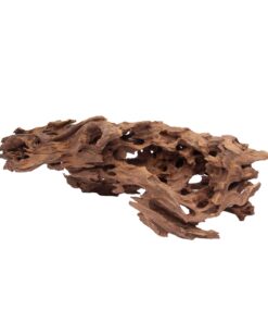 Alternative view of HabiStat Dragon Wood
