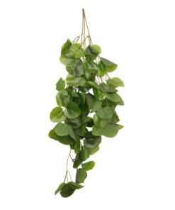 HabiStat Hanging Vine 60cm