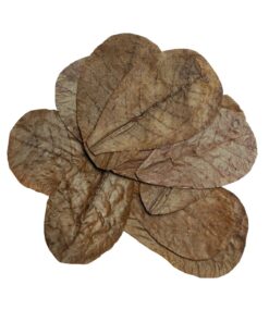 HabiStat Leaves