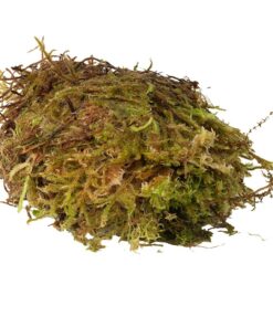 HabiStat Sphagnum Moss