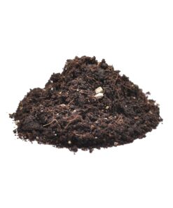 Alternative view of HabiStat Spider Bedding