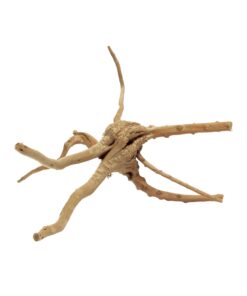 Alternative view of HabiStat Spider Root