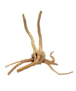 HabiStat Spider Root