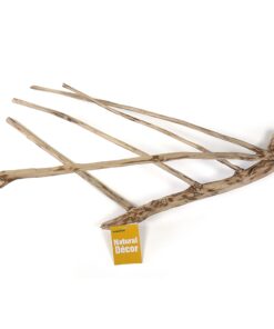 Alternative view of HabiStat Tea Tree Branch