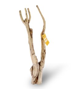 HabiStat Tea Tree Branch
