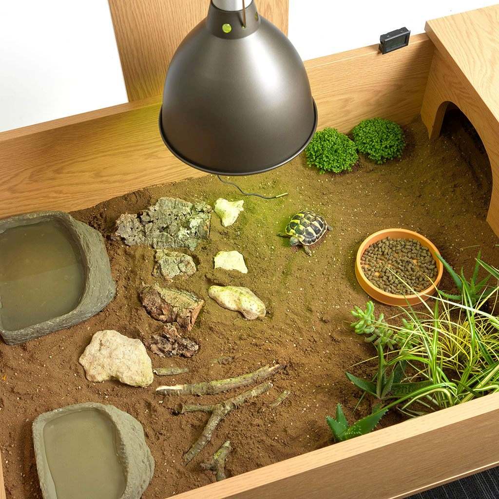 HabiStat Tortoise Table Accessory Kit - Image 7