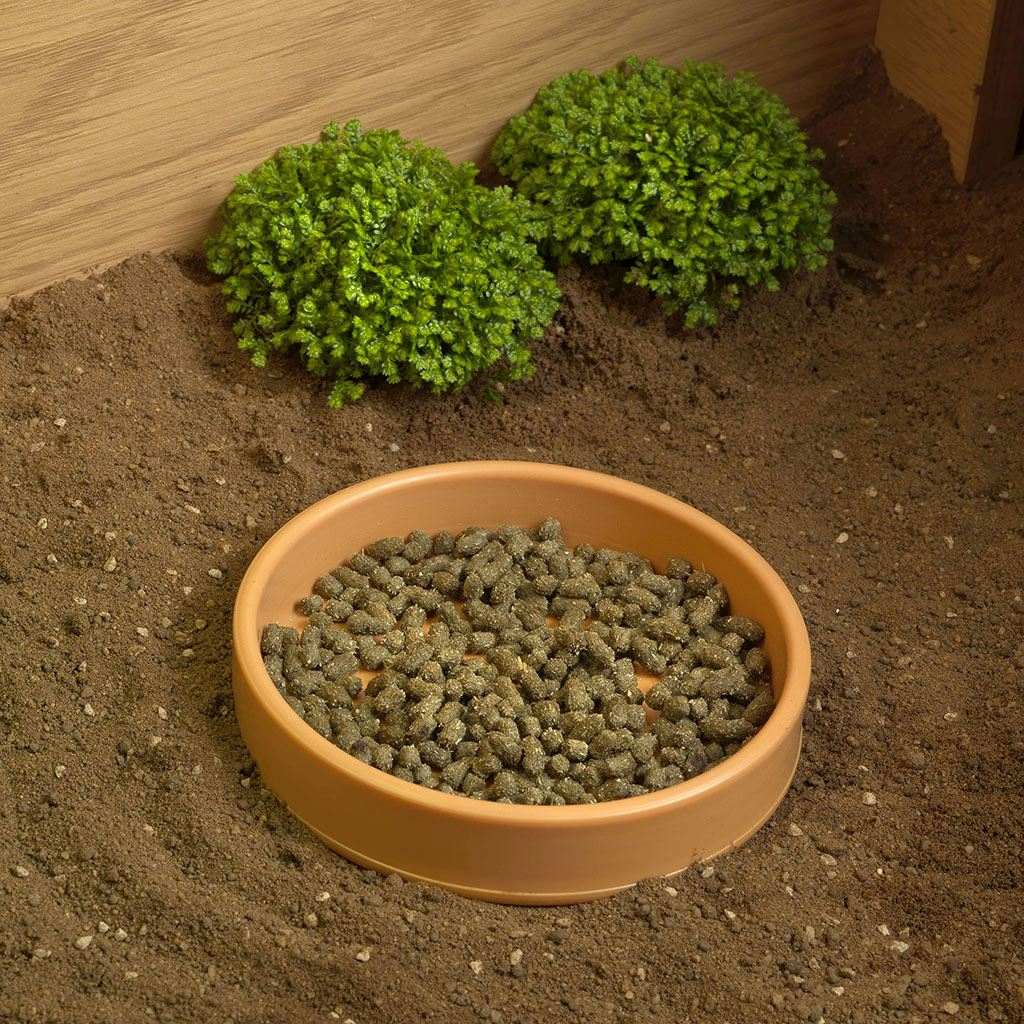 HabiStat Tortoise Table Accessory Kit - Image 9