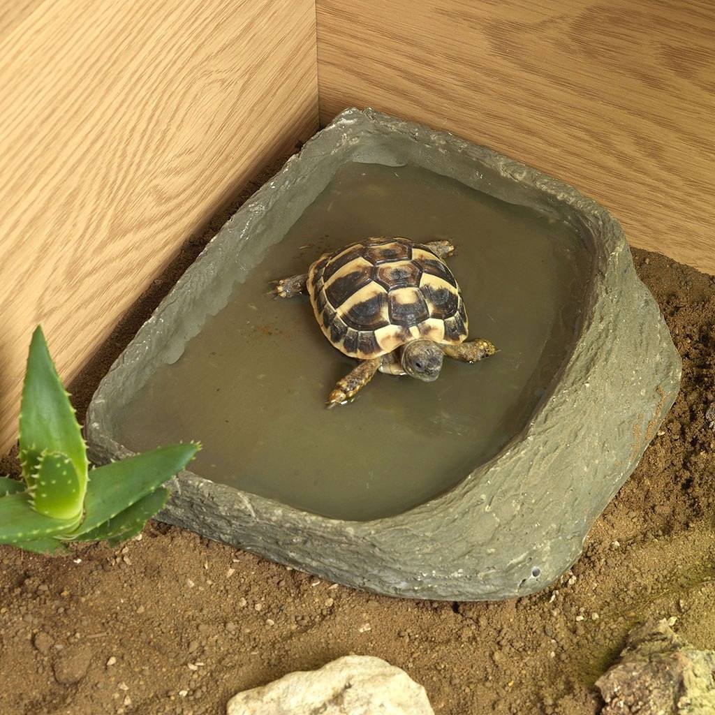 HabiStat Tortoise Table Accessory Kit - Image 10
