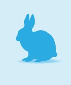 Vivari Frozen_Rabbit Individual