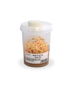 Small Fruit Fly Bulk Pot