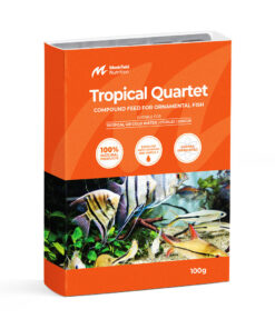 Tropical Quartet 10 Pack