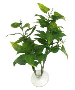 Alternative view of Zoo Med Betta Plant