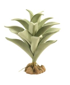 Alternative view of Zoo Med Desert Flora