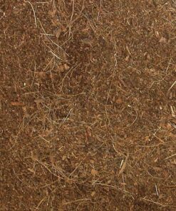 Alternative view of Zoo Med Eco Earth Compressed Brick