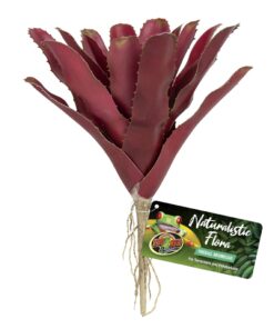 Zoo Med Fireball Bromeliad