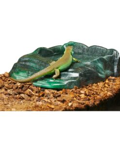 Zoo Med Repti Ramp Bowl